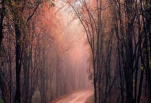 非洲选手取得历史性突破，成为焦点